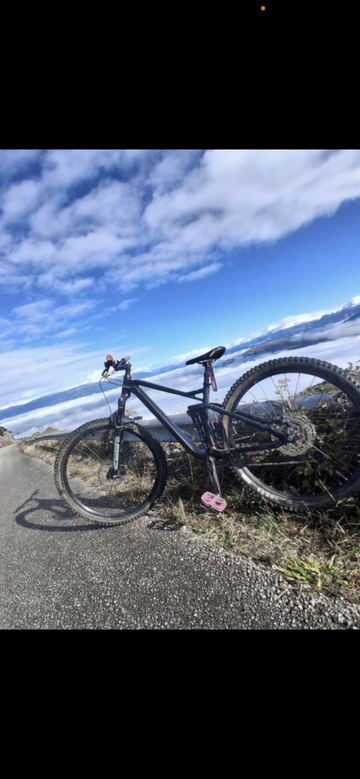 Brugt CUBE STEREO ONE22 RACE 2024 2024 Mountainbike — billede 1 af 7