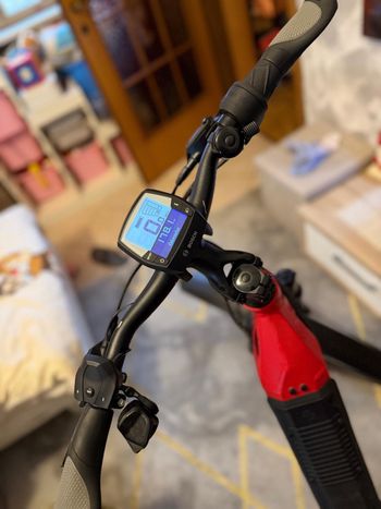 Used E-Bike HNF Bosch E-Bike HNF Bosch Custom Shimano 105 2025 Mountainbike, Rot — image 3 of 6