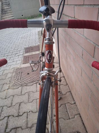 Used Legnano Legnano Custom Campagnolo Record 1972 Road & Gravel — image 4 of 6