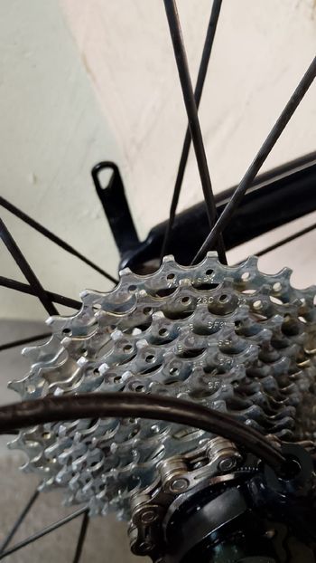 Used Bianchi Aria Centaur 2019 2019 Road & Gravel, Black — image 18 of 20