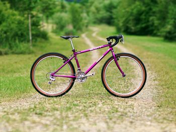 Used Scott Impulse Neo-Retro Gravel Bike 3 X 7 Shimano/Campagnolo 1996 Road & Gravel — image 2 of 9