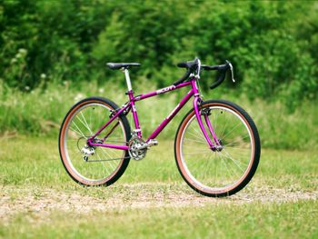 Used Scott Impulse Neo-Retro Gravel Bike 3 X 7 Shimano/Campagnolo 1996 Route & Gravel