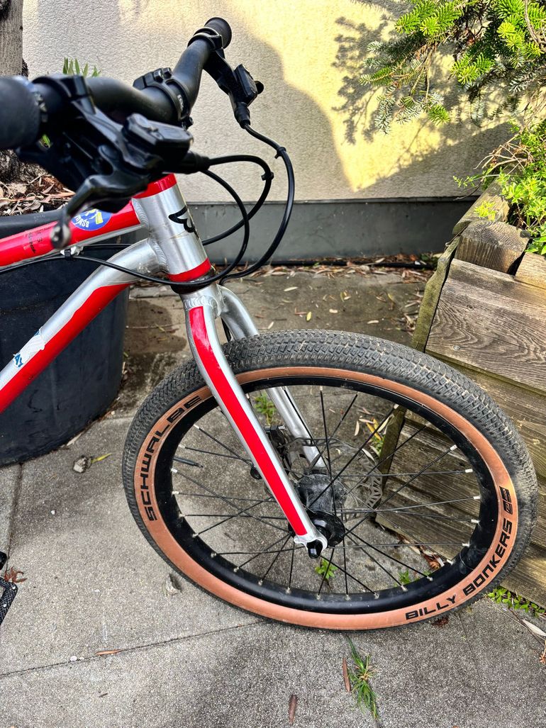 Used Early Rider Seeker 20 2024 2024 Youth, Hellgrau — image 2 of 6