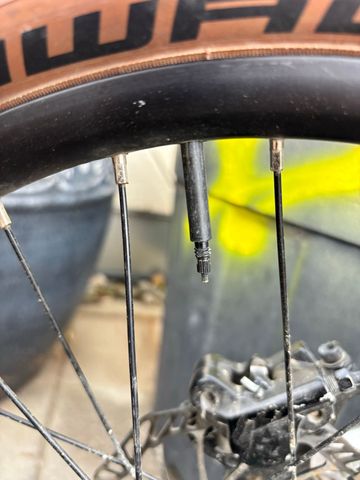 Tweedehands Early Rider Seeker 20 2024 2024 Youth — afbeelding 5 van 6