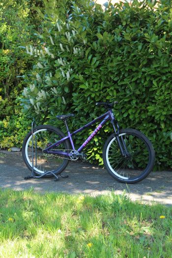 Used Marin Alcatraz 2 Frame Kit 2025 2025 Mountainbike, Violett, 26 — image 2 of 11