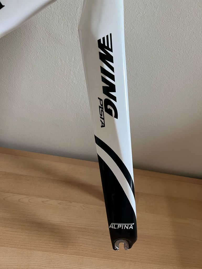 Used Dolan DF4 Carbon Track Bike - Alpina 2026 Frameset 2026 Road & Gravel, Black — image 4 of 15