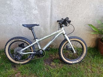 Used Early Rider Early Rider Custom 2022 Bambini e Junior