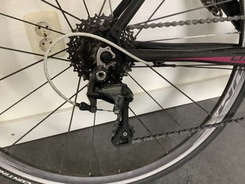 Used Ridley Liz Carbon XXS Shimano Ultegra Compact 2015 Road & Gravel, Schwarz — image 2 of 4