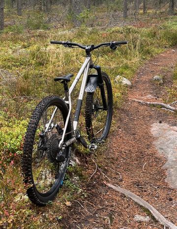 Used Stanton Switch9er Titanium 2024 Frameset 2024 Mountainbike, Light Gray, 29 — image 3 of 3
