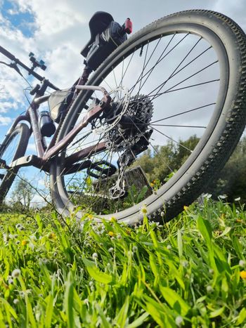 Used Marin DSX 2 2025 2025 Road & Gravel — image 3 of 3