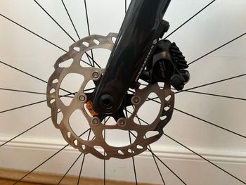 Used Focus IZALCO MAX 8.8 2024 2024 Road & Gravel — image 4 of 14