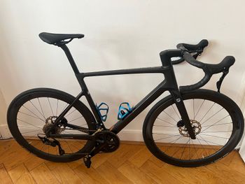 Used Focus IZALCO MAX 8.8 2024 2024 Road & Gravel