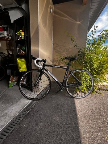 Used wolhauser Wolhausen - Dedacciai Carbone - 47cm - Ultegra/105 2010 Road & Gravel — image 6 of 12
