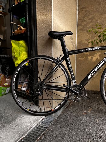 Used wolhauser Wolhausen - Dedacciai Carbone - 47cm - Ultegra/105 2010 Road & Gravel — image 2 of 12