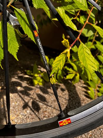 Used wolhauser Wolhausen - Dedacciai Carbone - 47cm - Ultegra/105 2010 Road & Gravel — image 4 of 12