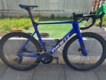 Used Giant Propel Advanced 1 2024 2024 Route & Gravel