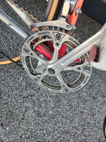 Used Colnago Colnago Custom Campagnolo Record 1982 Road & Gravel — image 3 of 12