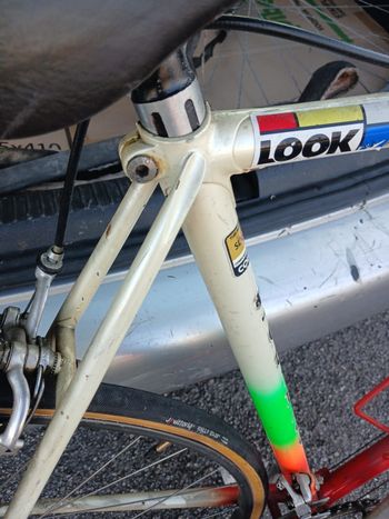 Used Colnago Colnago Custom Campagnolo Record 1982 Road & Gravel — image 7 of 12