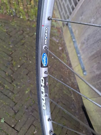 Used koga miyata Koga miyata Custom Shimano 600 1977 Road & Gravel — image 12 of 13