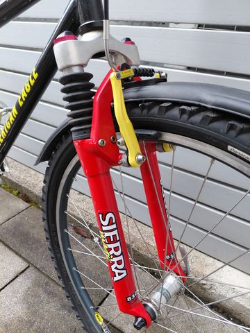 Used American Eagle Taos 1998 Mountainbike, Black — image 12 of 19