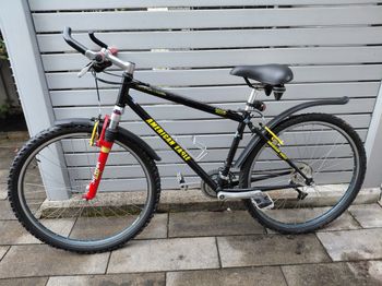 Used American Eagle Taos 1998 Mountainbike, Schwarz — image 2 of 19