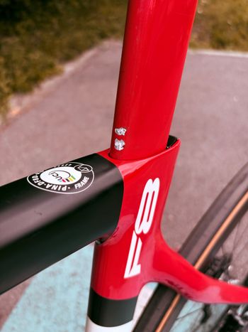 Used Pinarello Pinarello Dogma F8 Disk 2018 Road & Gravel, Black — image 9 of 10