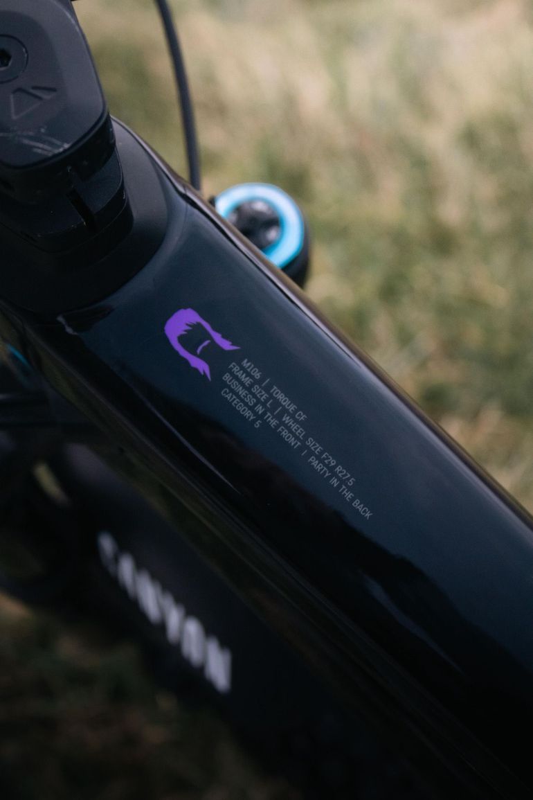 Used Canyon Torque Mullet CF 8 2024 2024 Mountainbike — image 5 of 22