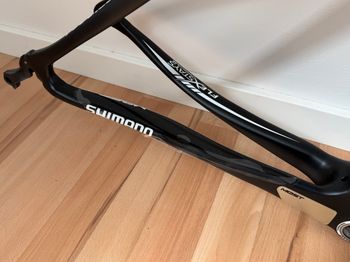 Used Pinarello Dogma K10 Frameset 2019 Frameset 2019 Road & Gravel — image 4 of 8