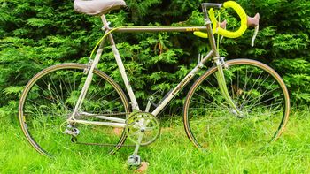 Used Guerciotti Minerva 1979 Road & Gravel