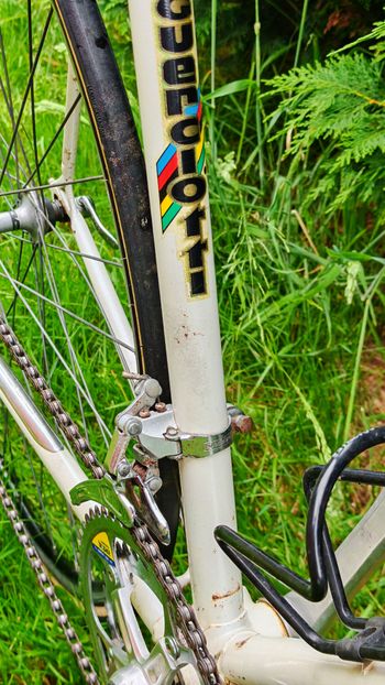 Used Guerciotti Minerva 1979 Road & Gravel, Black — image 15 of 15