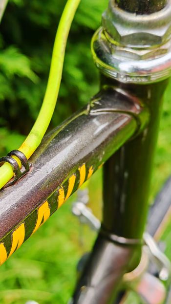 Used Guerciotti Minerva 1979 Road & Gravel, Black — image 14 of 15