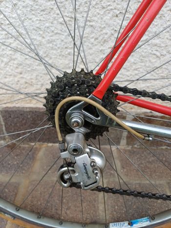Used Colnago Colnago Custom Campagnolo Athena 1987 Road & Gravel, Rot — image 3 of 9