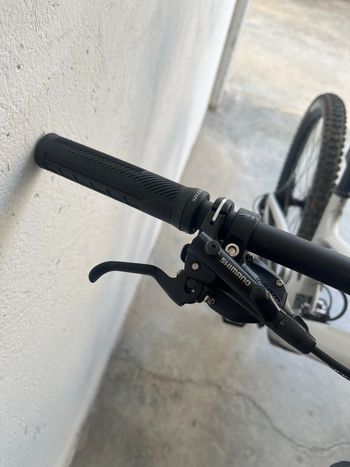 Used Scott Genius 940 2025 2025 Mountainbike, Light Gray, 29 — image 9 of 21
