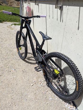 Used Commencal Supreme Single Speed / Fixed Gear 2024 Mountainbike — image 3 of 9