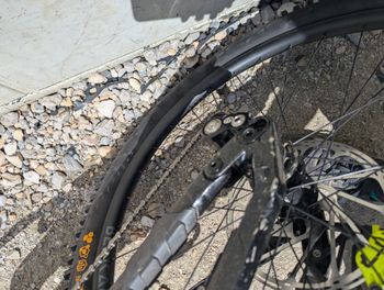 Used Commencal Supreme Single Speed / Fixed Gear 2024 Mountainbike — image 8 of 9