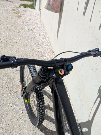 Used Commencal Supreme Single Speed / Fixed Gear 2024 Mountainbike — image 5 of 9