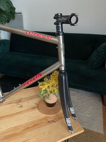 Used Merlin Merlin Custom Frameset 2000 Road & Gravel — image 3 of 7