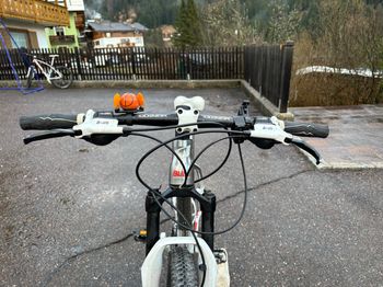Used Olympia Bull One Point One 2016 Mountainbike — image 3 of 5