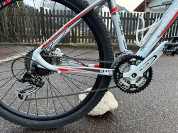 Used Olympia Bull One Point One 2016 Mountainbike — image 4 of 5