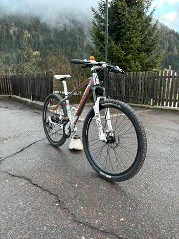Used Olympia Bull One Point One 2016 Mountainbike — image 2 of 5