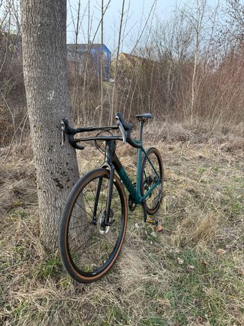 Used Canyon Grail CF SL 8 2023 2023 Road & Gravel — image 3 of 3