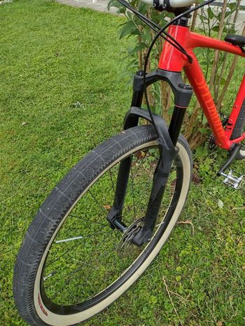 Used Specialized Men's Chisel Comp X1 2019 2019 Mountainbike — image 8 of 15