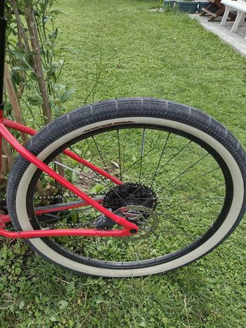 Used Specialized Men's Chisel Comp X1 2019 2019 Mountainbike — image 4 of 15