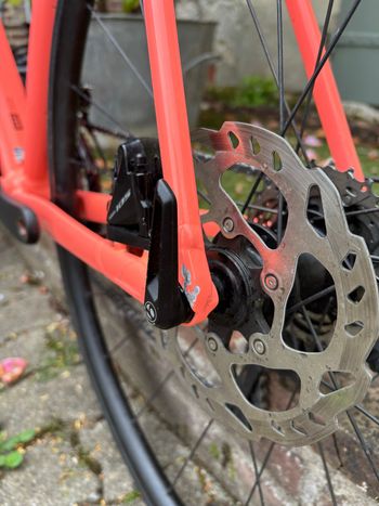 Used Trek Émonda ALR 5 2024 2024 Road & Gravel, Blau — image 8 of 10