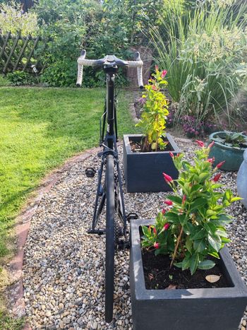 Used Rose X-Lite Shimano Ultegra 2021 Road & Gravel, Black — image 4 of 18