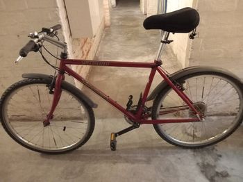 Used Specialized Jahrgang 1994 1994 MTB