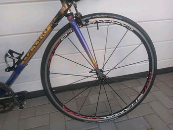 Used Colnago Colnago Tecnos Art Decor Competition 1996 Road & Gravel, Viola — image 4 of 15