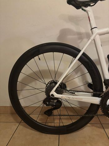 Used Colnago C64 Disc Kaizen Pro Bike 2022 2022 Road & Gravel, White — image 9 of 10