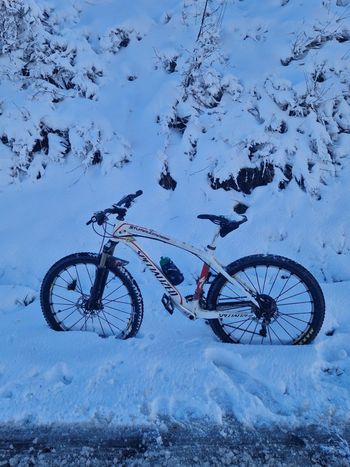 Used Specialized Stumpjumper Shimano Deore XT 2009 MTB