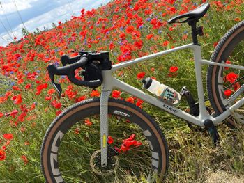 Used CUBE NUROAD C:62, SLX 2026 2026 Road & Gravel, Green — image 2 of 4